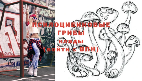 молекула духа Алексеевка