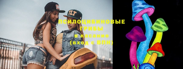дмт Алексин