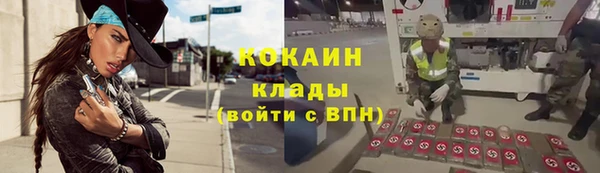 дживик Алзамай