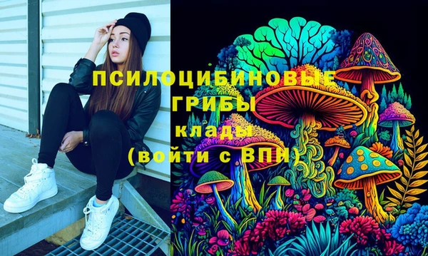 молекула духа Алексеевка
