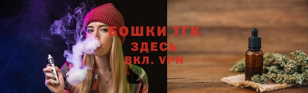 дмт Алексин