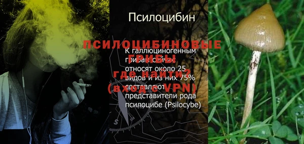 дживик Алзамай