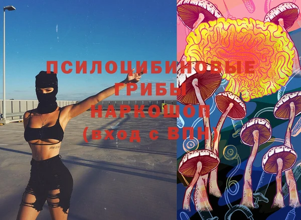 дмт Алексин
