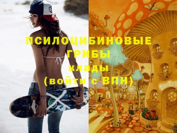 молекула духа Алексеевка