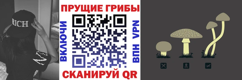 мориарти Telegram  купить наркотик  Петушки  Галлюциногенные грибы GOLDEN TEACHER 